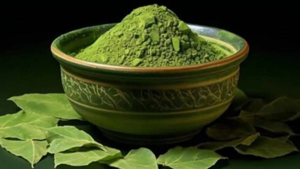 سیر تا پیاز خواص حنا برای سلامت انسان